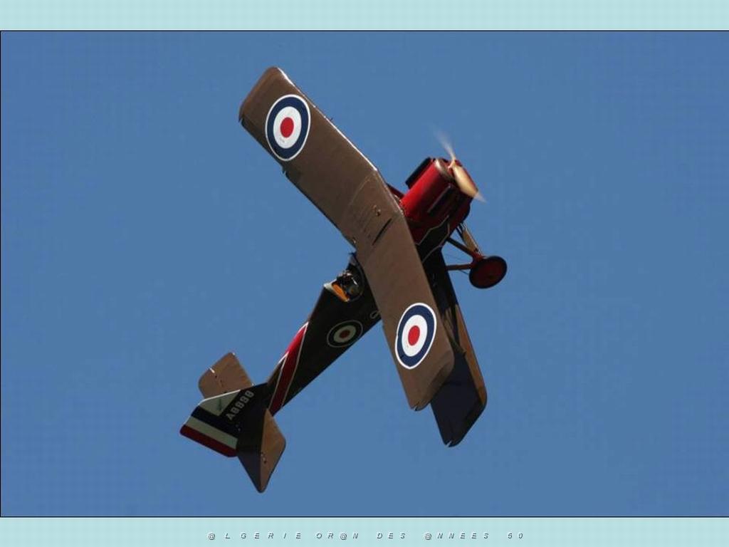 MEETING DE LA FERTE ALAIS 2009 DE JPL   (102).jpg